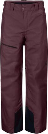 Scott Pants Ultimate Dryo 10 Skihose f&uuml;r Herren | lila