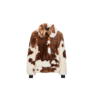 Moncler Moncler Chalanson Shearling Short Padded Jacket, Women, Multicolor, Size: 1