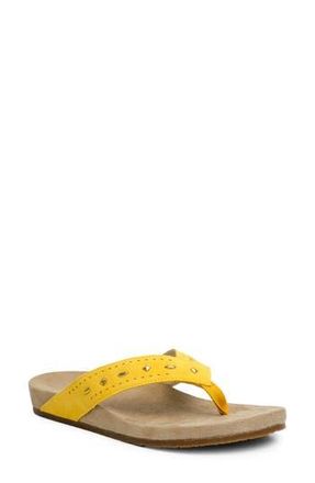 Revitalign Kena Studded Flip Flop in Mineral Yellow at Nordstrom Rack, Size 8