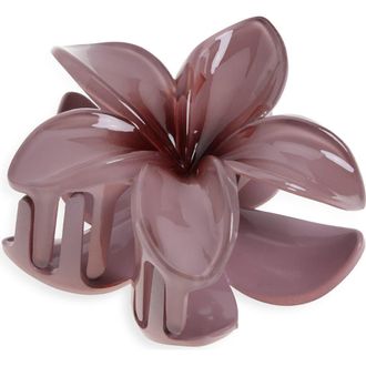 BP. Pulmeria Claw Clip in Mauve at Nordstrom