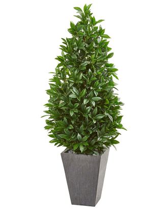 Nearly Natural 57In Bay Leaf Cone Uv-Resistant Topiary Tree In Planter (Indoor/Outdoor)