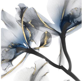 iCanvas Indigo Luster Cyclamen Ii By Albert Koetsier Wall Art