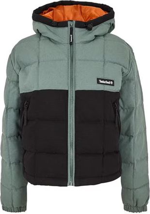 Timberland Korte pufferjas met capuchon voor dames (Balsamgroen/Zwart)