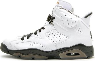 Nike Jordan Air Jordan 6 Retro Premium Motorsports 395866-101