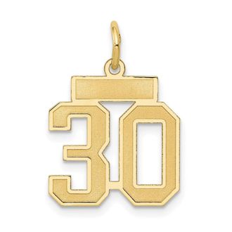Diamond2Deal 14k Yellow Gold Small Satin Number Charm Pendant