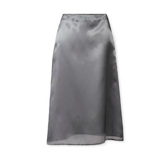Fabiana Filippi Midi Skirts, female, Gray, XS, Mini Skirt