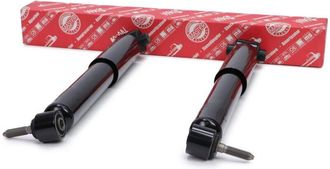 OEM Amortiguadores Traseros Renault Megane Ii