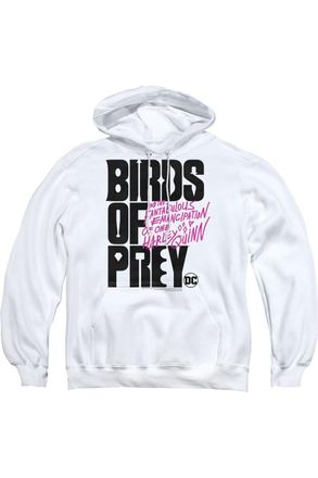 Gildan Birds Of Prey Birds Of Prey Logo Adult Pull Over Hoodie / Hooded Sweatshirt