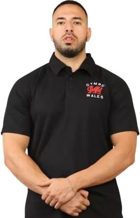 Generic Mens Dragon of Wales Badge Rugby Polyester Welsh Cymru 6 Nations Polo Shirt UK (UK, Alpha, L, Regular, Regular, Black)