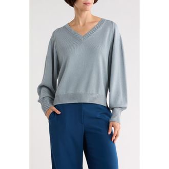 Lafayette 148 New York V-Neck Raglan Sleeve Sweater in Deep Blue Dust at Nordstrom Rack, Size Large