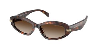 Michael Kors MK2260D WILMINGTON Asian Fit 403113 Womens Sunglasses Tortoiseshell Size 54