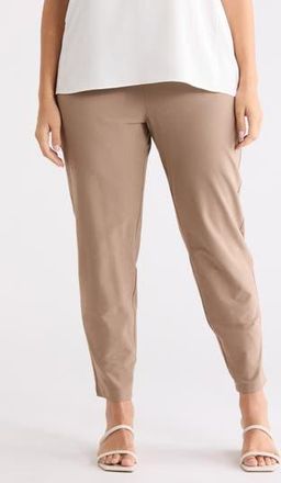 Eileen Fisher Slim Ankle Pants in Cocoa at Nordstrom Rack, Size 3 X
