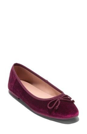 Cole Haan Yara Ballet Flat in Ch Black Garnet Suede at Nordstrom Rack, Size 10.5