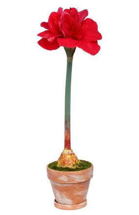 Mark Roberts Potted Amaryllis Flower, Set of 2 in Red at Nordstrom
