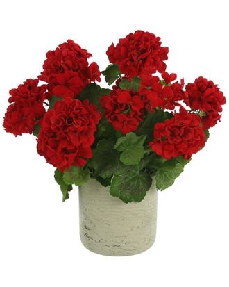 Creative Displays Inc. Red Geranium Floral Arrangement In A Round Pot