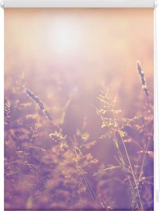 Lichtblick Original Seitenzugrollo »Klemmfix Motiv Sommerabend« Lichtschutz ohne Bohren freihängend bedruckt
