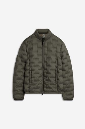 Cinque Steppjacke CINQUE CISURF, Herren, Gr. L, gr&uuml;n (dunkelgr&uuml;n), Web, Obermaterial: 100% Polyester, unifarben, regular fit normal, hoch geschlossener Aussc