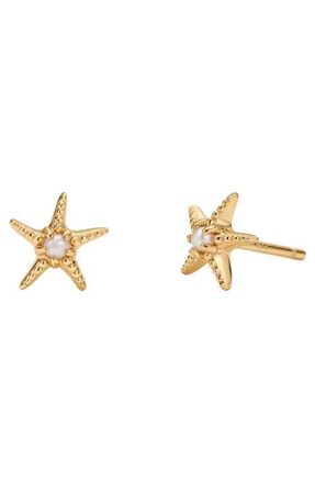 Made by Mary Starfish Stud Earrings in Gold Vermeil at Nordstrom