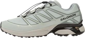 Salomon XT-Pathway 2 Ice Flow Gray Violet 492100