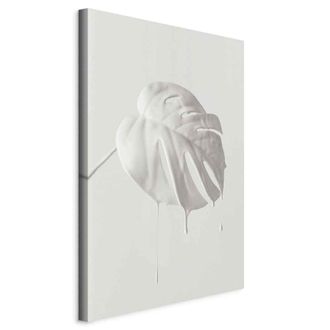 OEM Imagen - Monstera Brillante (1 Parte) Vertical