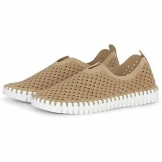 Ilse Jacobsen Womens Tulip 139 Shoe In Latte