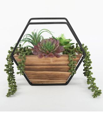 Flora Bunda Succulent Wall Pocket