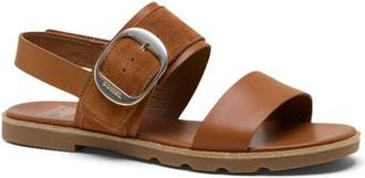 Sorel Ella III Slingback Sandal in Iced Tea/Gum 2 at Nordstrom, Size 10.5