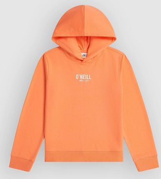 O'Neill Essentials Kids Hoodie roze