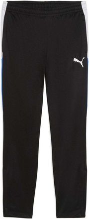 Puma Heren Individualliga Trainingsbroek (Zwart)