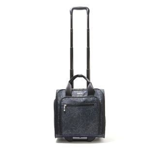 Baggallini 2 Wheel Underseater Carry On Suitcase Luggage