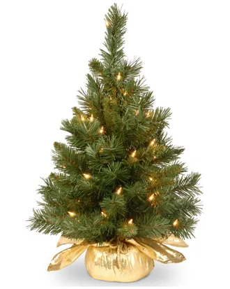 National Tree Company 24In Majestic Fir Tree In Gold Cloth Bag With 35 Clear Lights