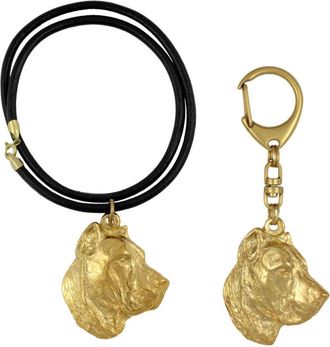 OEM Presa Canario, Perro Canario - Llavero Y Collar Con Perro En Caja, Producto Ba&ntilde;ado En Oro De Alta Calidad, Marca Art-dog