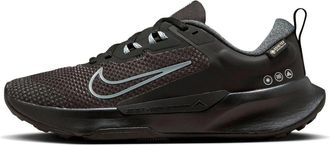 Nike (WMNS) Nike Pegasus Trail 4 GTX Waterproof Trail Running Shoes Black FB2065-001