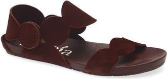 Pedro Garcia Jeanne Ankle Strap Sandal in Brunette Castoro at Nordstrom, Size 10.5Us