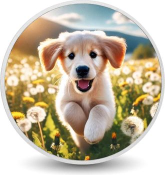 OEM Moneda De Plata Coloreada Campo De La Alegr&iacute;a De 1 Oz