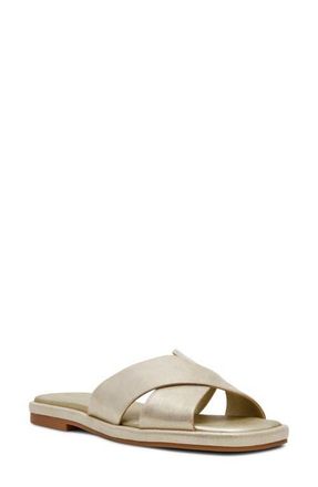 Anne Klein Khloe Crossover Strap Slide Sandal in Platinum at Nordstrom, Size 7.5