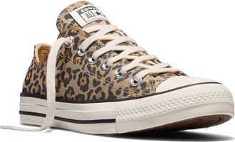 Converse Chuck Taylor All Star Leopard Low Top Sneaker in Egret/black/honey Stick at Nordstrom, Size 3