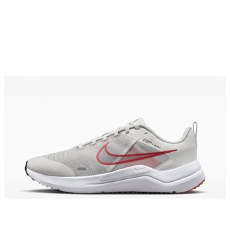 Nike Downshifter Silver Grey DD9293-009