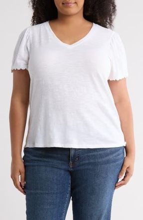 Caslon Scallop Trim T-Shirt in White at Nordstrom Rack, Size 1X