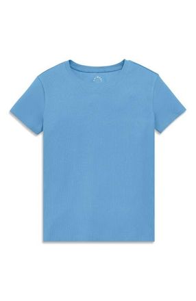 primary Womens Fit Rib Tee in Cornflower at Nordstrom, Size Xx-Large