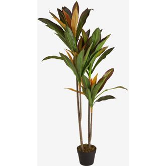 Sklum Sklum - Planta Artificial Decorativa Dracaena