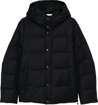 Montecore Hooded Padded Jacket