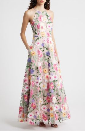 Eliza J Embroidered Sleeveless Gown in Blush Multi at Nordstrom, Size 16