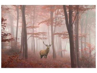 Schubiger M&ouml;bel Digitaldruck auf Glas Hirsch im Herbstwald