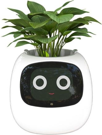 OEM Macetas Inteligentes Con Inteligencia Artificial, Visualizaci&oacute;n De Temperatura Y Numerosas Animaciones Expresivas Basadas En El Entorno, Para Decoraci