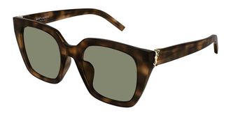 Saint Laurent SL M143/F Asian Fit 003 Womens Sunglasses Tortoiseshell Size 52 - Free RX Lenses - Free RX Lenses