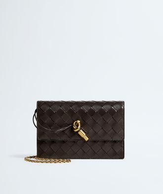Bottega Veneta Andiamo Pouch On Chain - Bottega Veneta