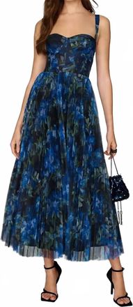 Hutch Womens Elsie Sweetheart Maxi Gown In Blue Floral