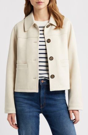 Bernardo Faux Suede Jacket in Bonded Faux Suede at Nordstrom, Size Xx-Large