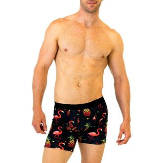 Warriors & Scholars Flamingo Boxer Briefs in Black at Nordstrom Rack, Size Xxx-Large
